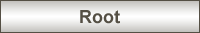 Root